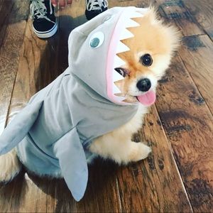 Meet your Posher, Jennet